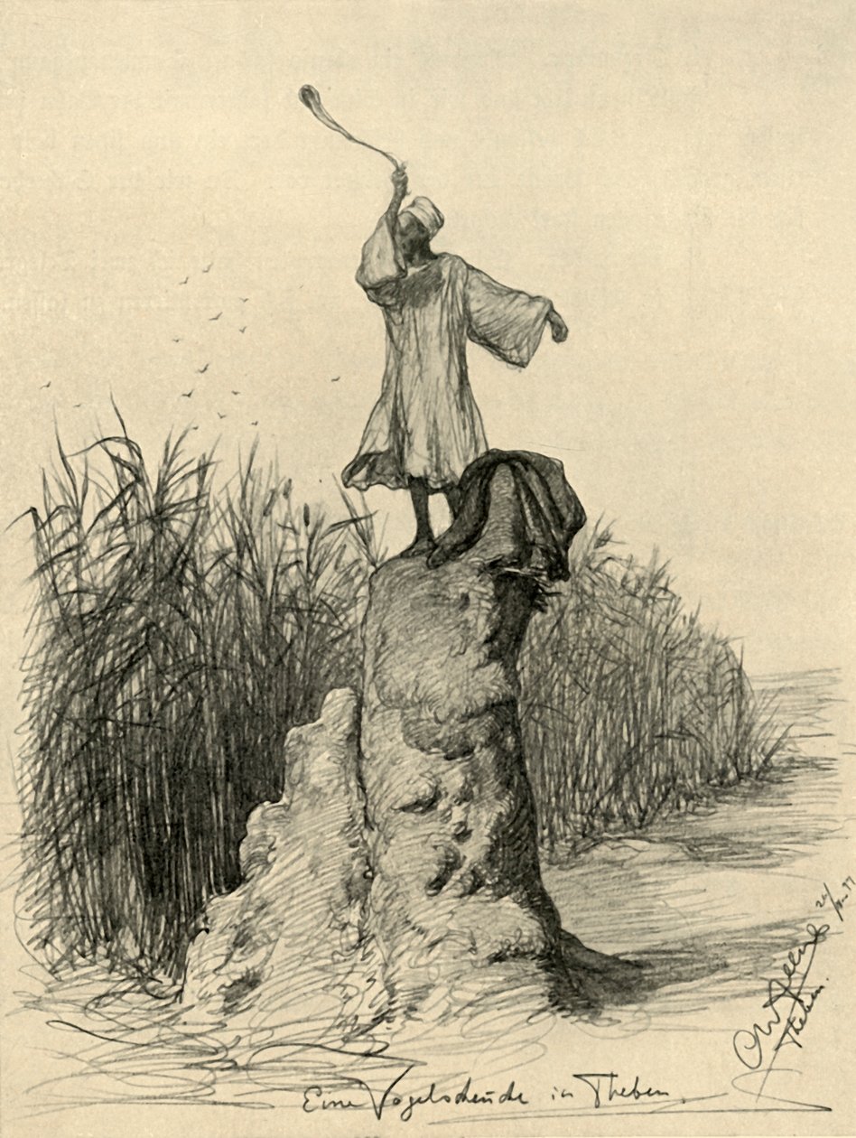 Madarakat ijesztgető ember, Théba, Egyiptom, 1898. alkotó: Christian Wilhelm Allers