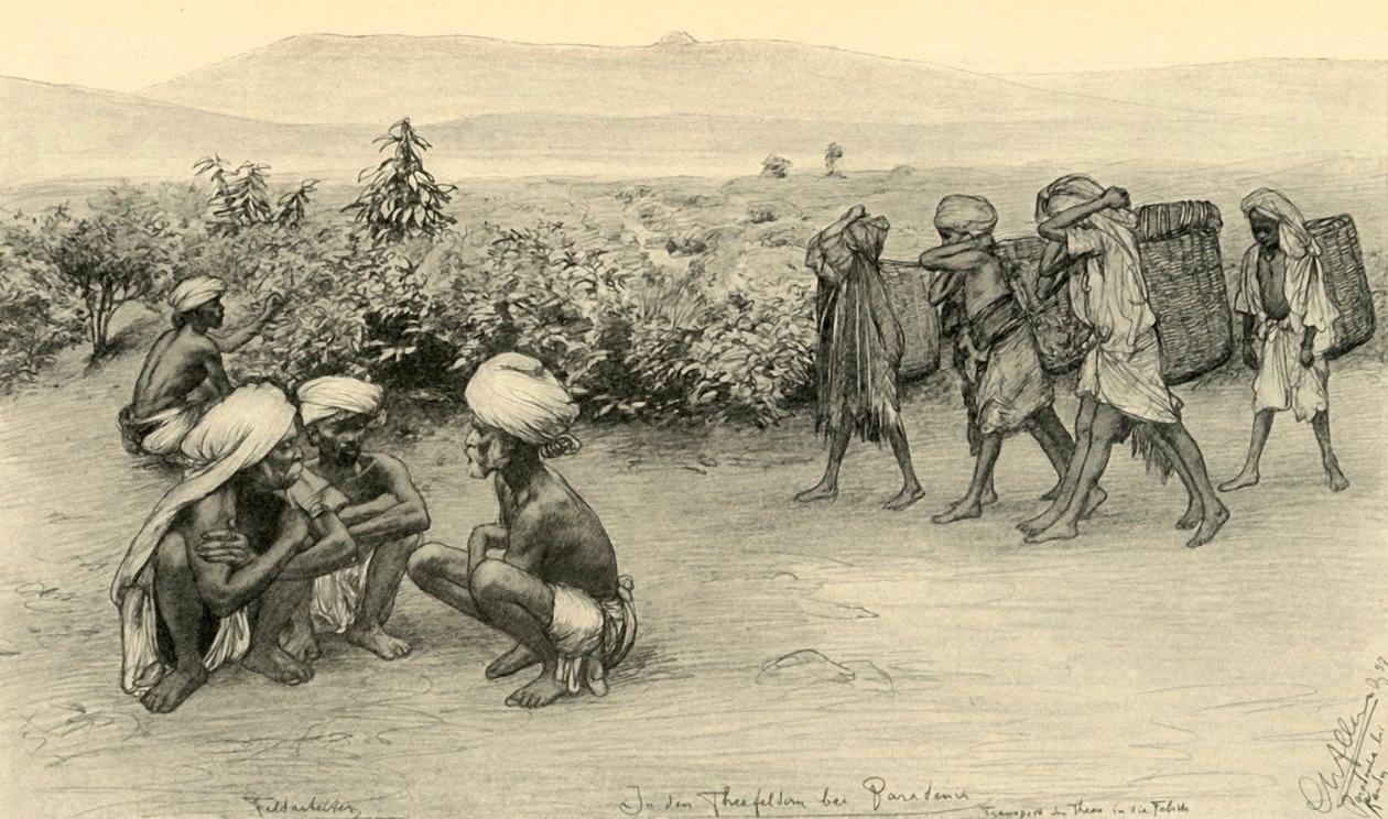 Teaszedők, Peradeniya, Ceylon, 1898. alkotó: Christian Wilhelm Allers