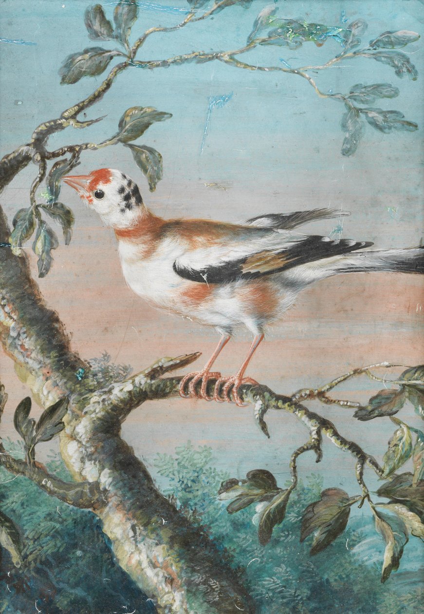 Egy ágon ülő madár alkotó: Christoph Ludwig Agricola