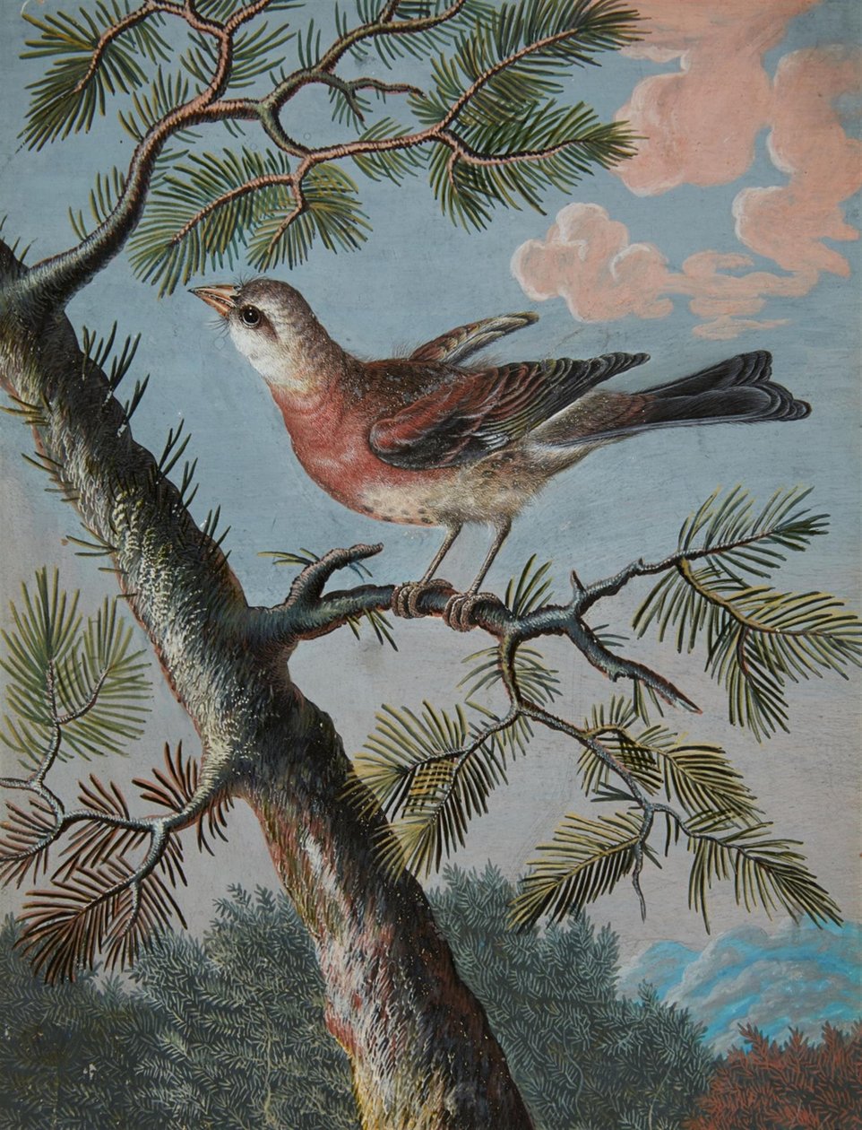 Dalosmadár egy örökzöldben alkotó: Christoph Ludwig Agricola