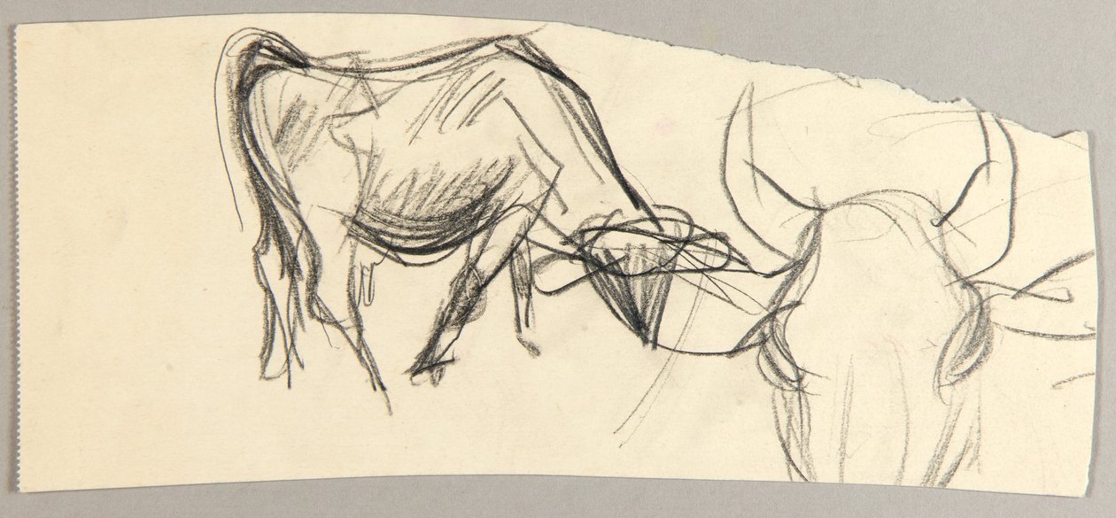 Oxen alkotó: Christoph Voll