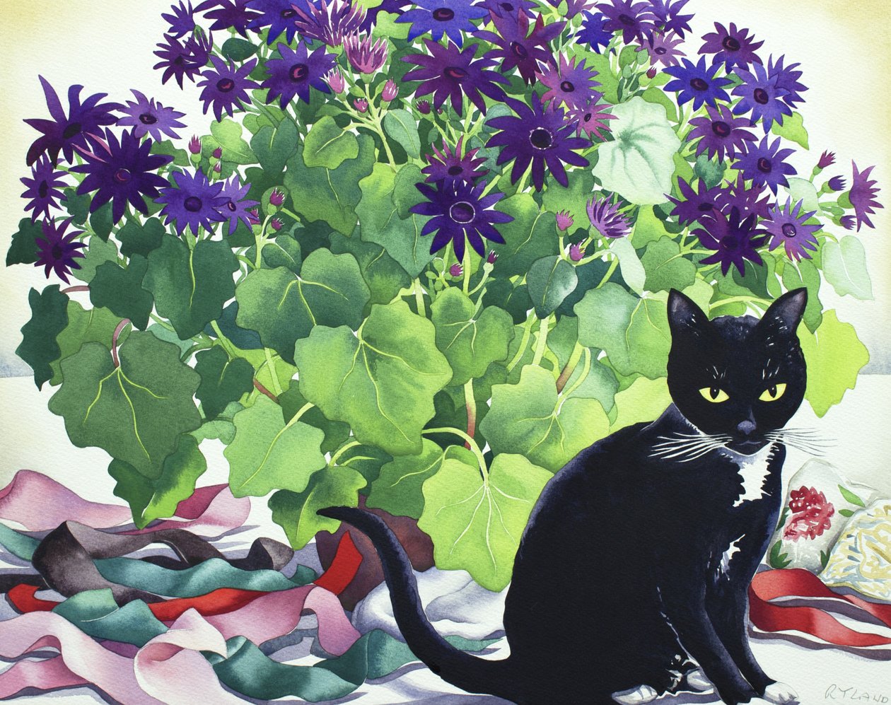 Senetti növény és macska alkotó: Christopher Ryland