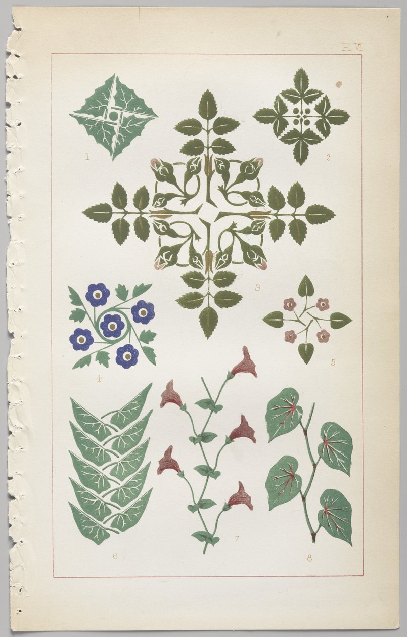 A dekoratív tervezés művészete: egy függelék, amely megadja a nap óráit, amikor a virágok nyílnak, kiadó: Day & Son, London, 1862 alkotó: Christopher Dresser