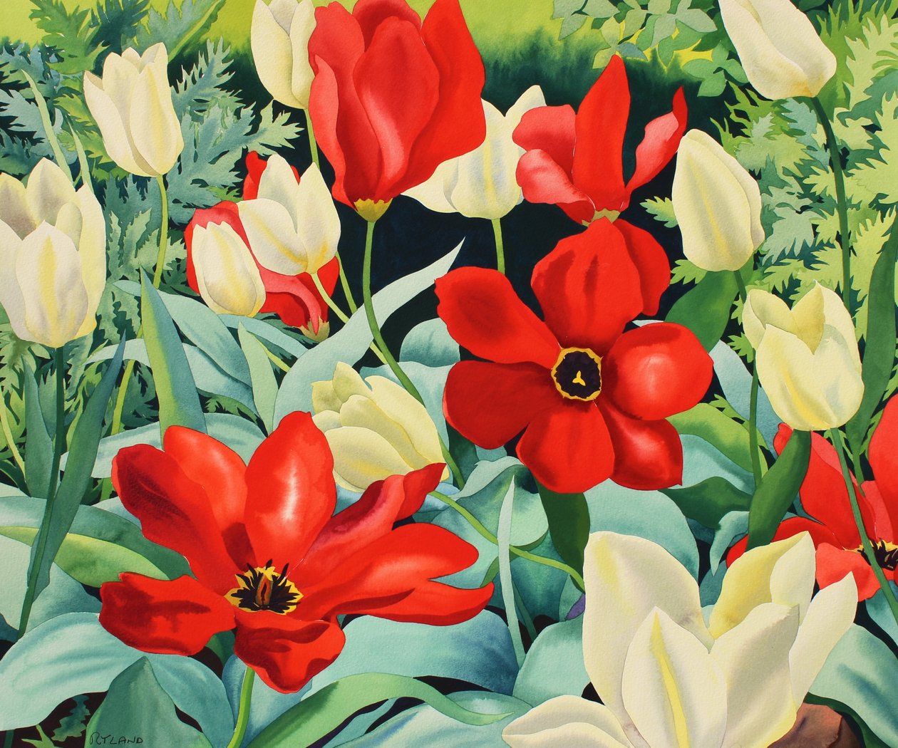 Korai tulipánok (akvarell papíron) alkotó: Christopher Ryland