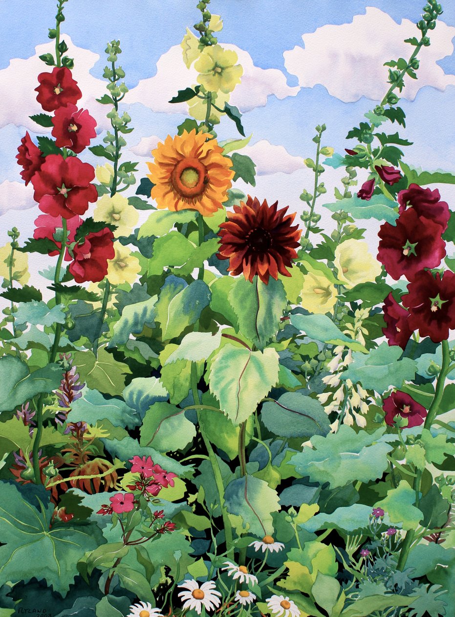 Hollyhocks és napraforgó (akvarell papíron) alkotó: Christopher Ryland