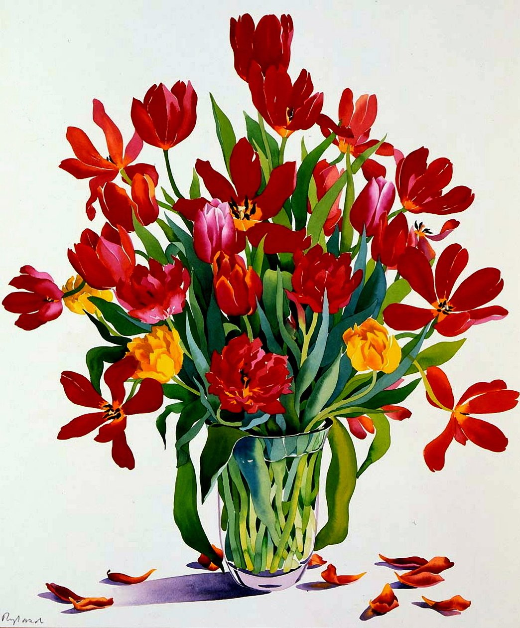 Tulipán (wc papíron) alkotó: Christopher Ryland