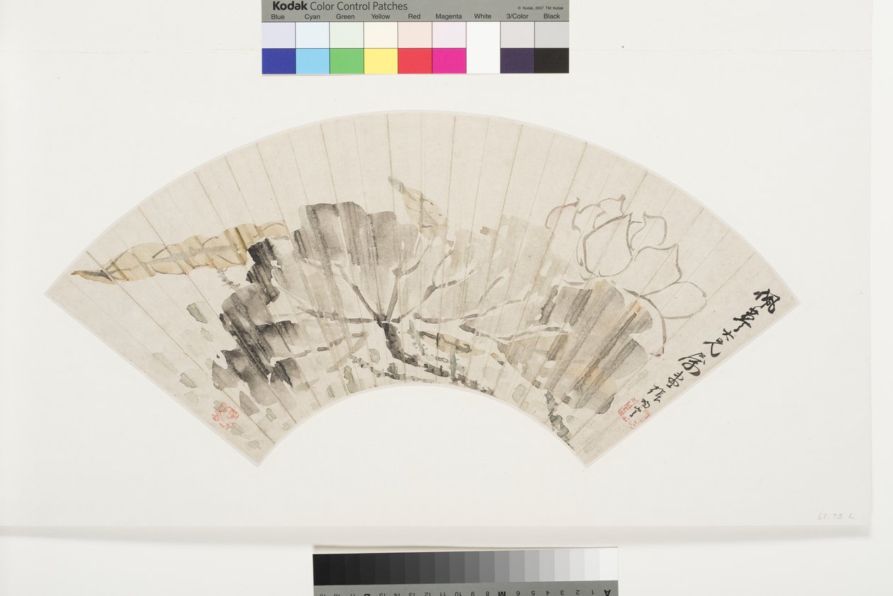 Lotus Blossom and Leaves, 19. század eleje (tinta és világos színek a táblára szerelt csillámfoltos papíron) alkotó: Cining Zhang