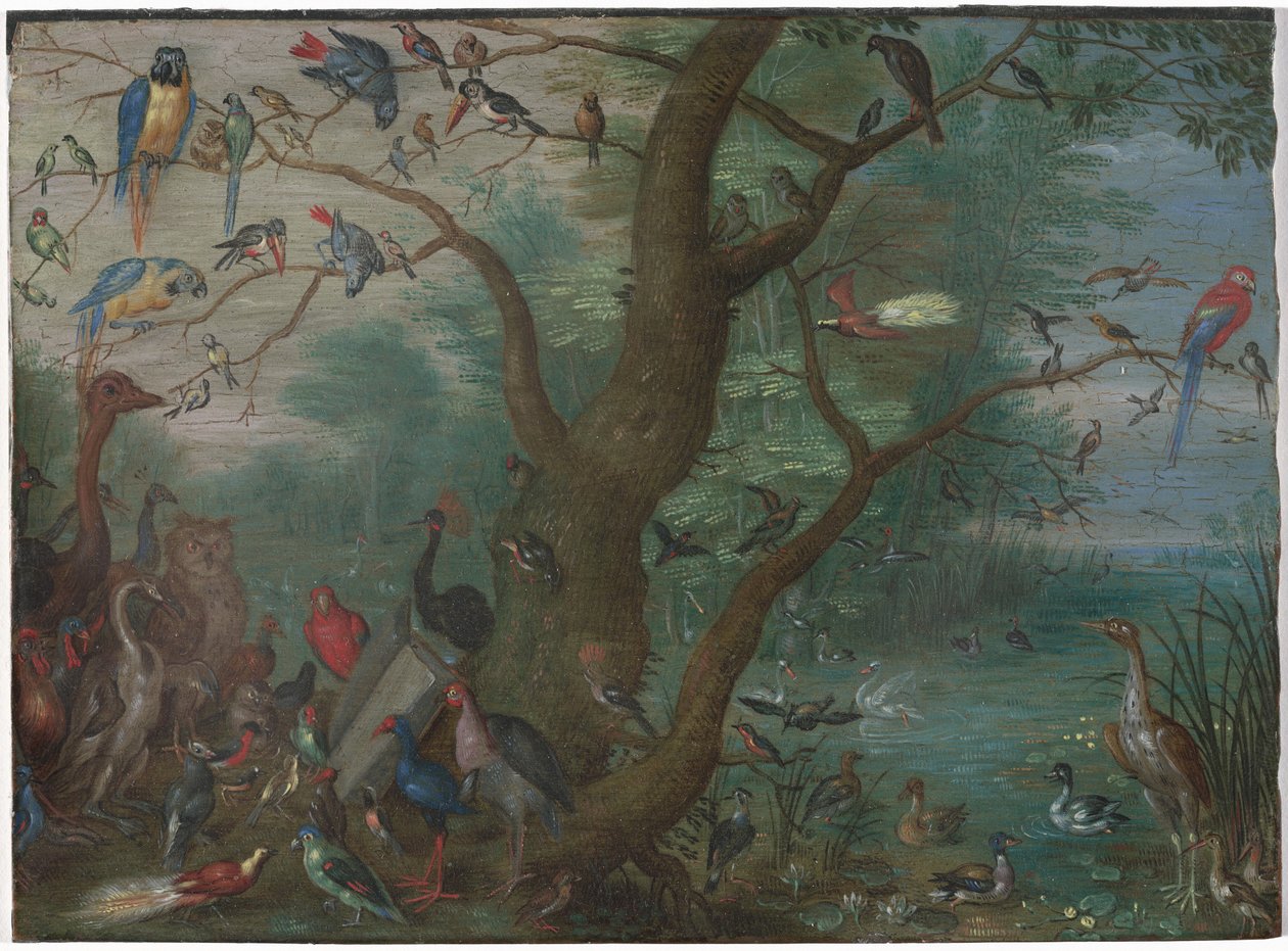 Madarak koncertje alkotó: Circle of Jan van Kessel the Elder