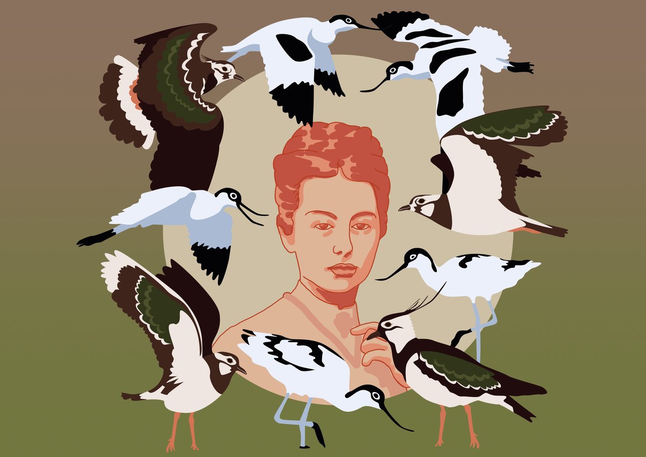 Emily Williamson alkotó: Claire Huntley