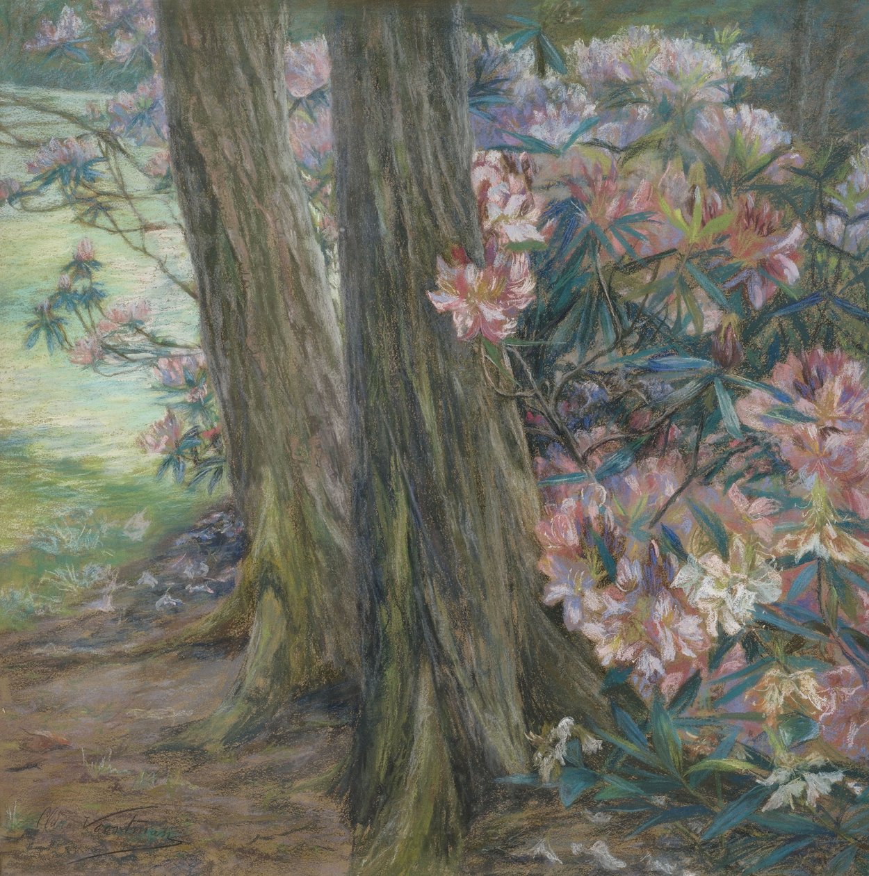 Clara Voortman Rhododendronbusch alkotó: Clara Voortman