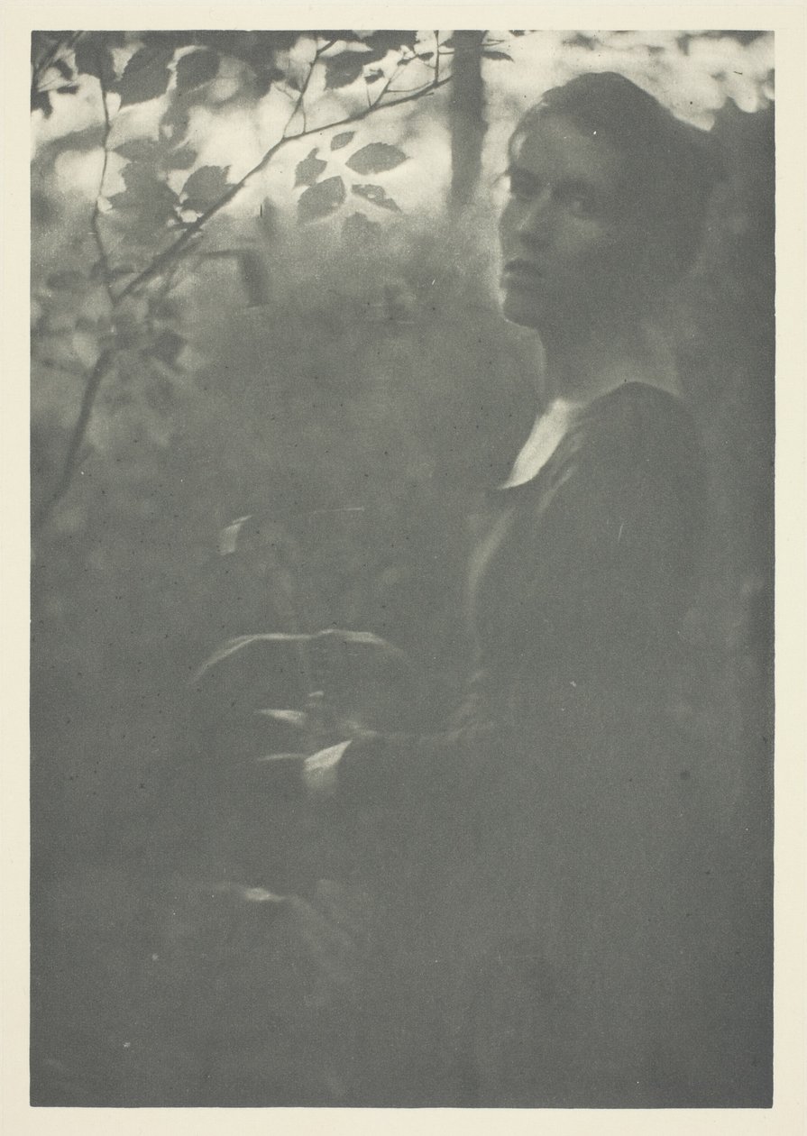 Edge of Woods alkotó: Clarence H. White