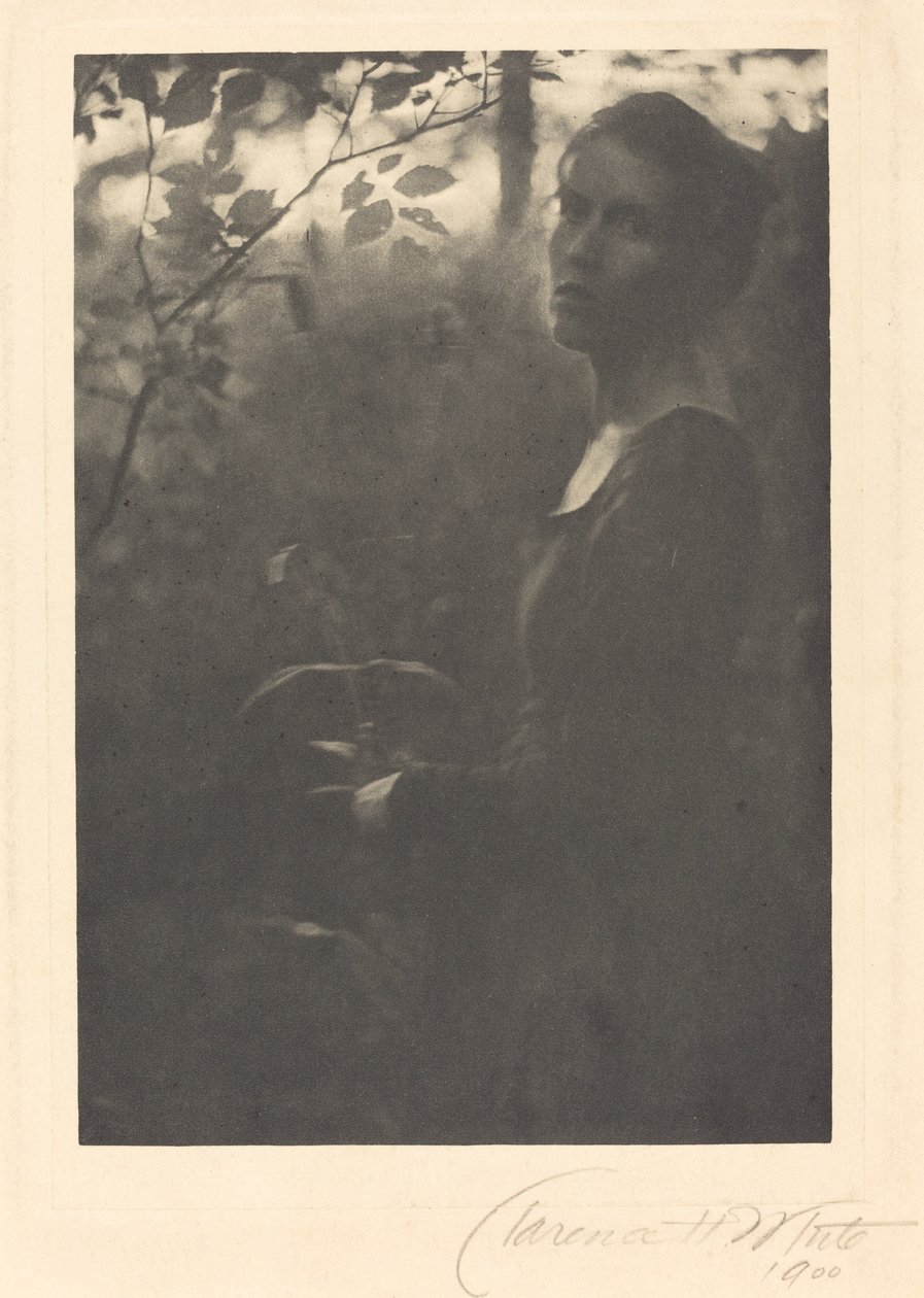 Az erdő széle, este alkotó: Clarence H. White