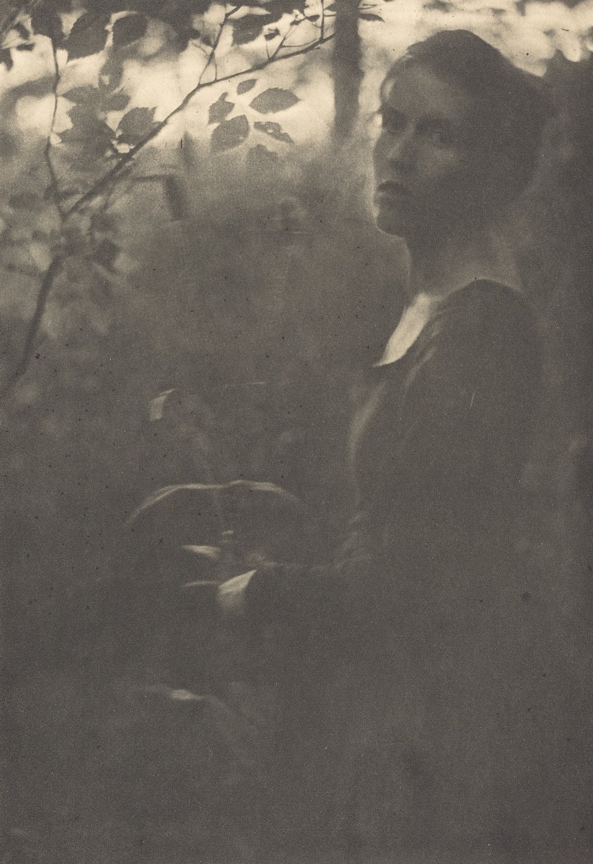 Az erdő széle, este, 1900. alkotó: Clarence H White