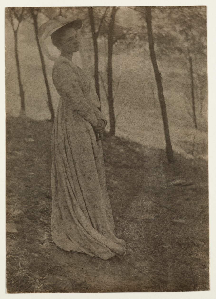 Julia Hall McCune, c. 1897. alkotó: Clarence H. White