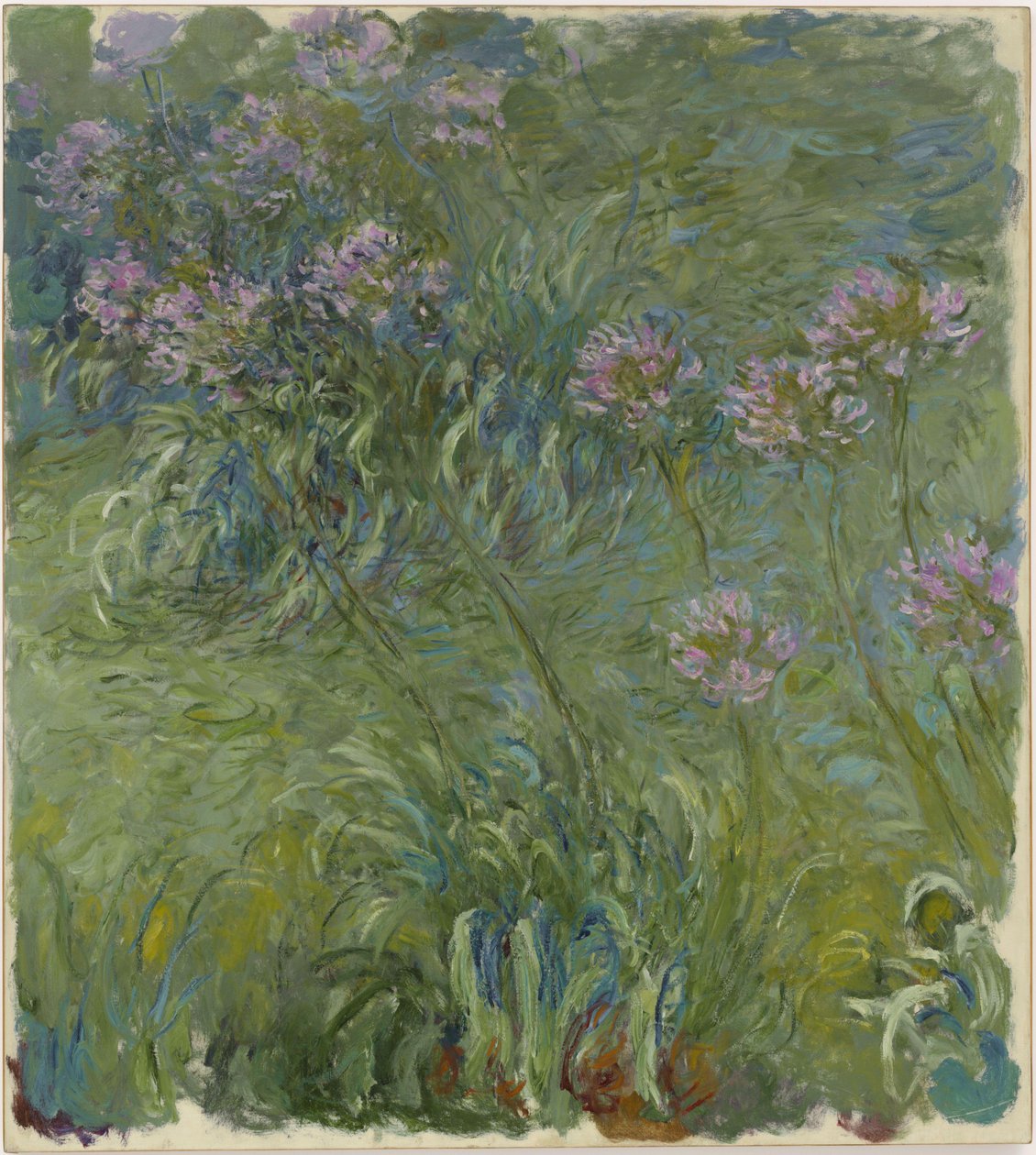 Agapanthus alkotó: Claude Monet