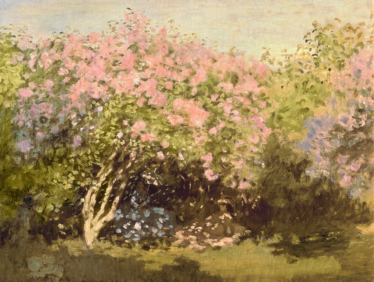 Lila a napon, 1873 alkotó: Claude Monet