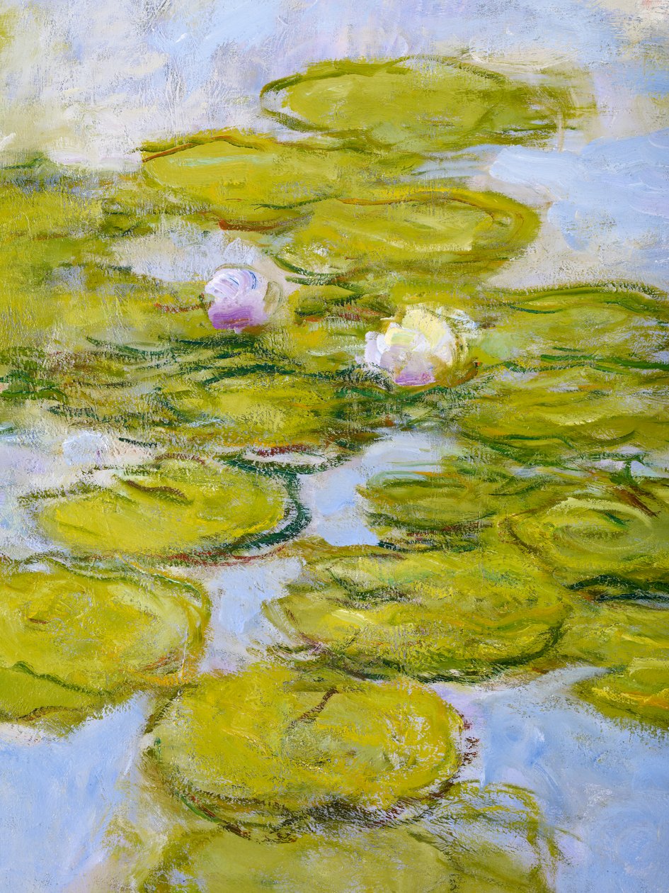 Nympheas, 1916–1919 (a 377597. szám részlete) alkotó: Claude Monet