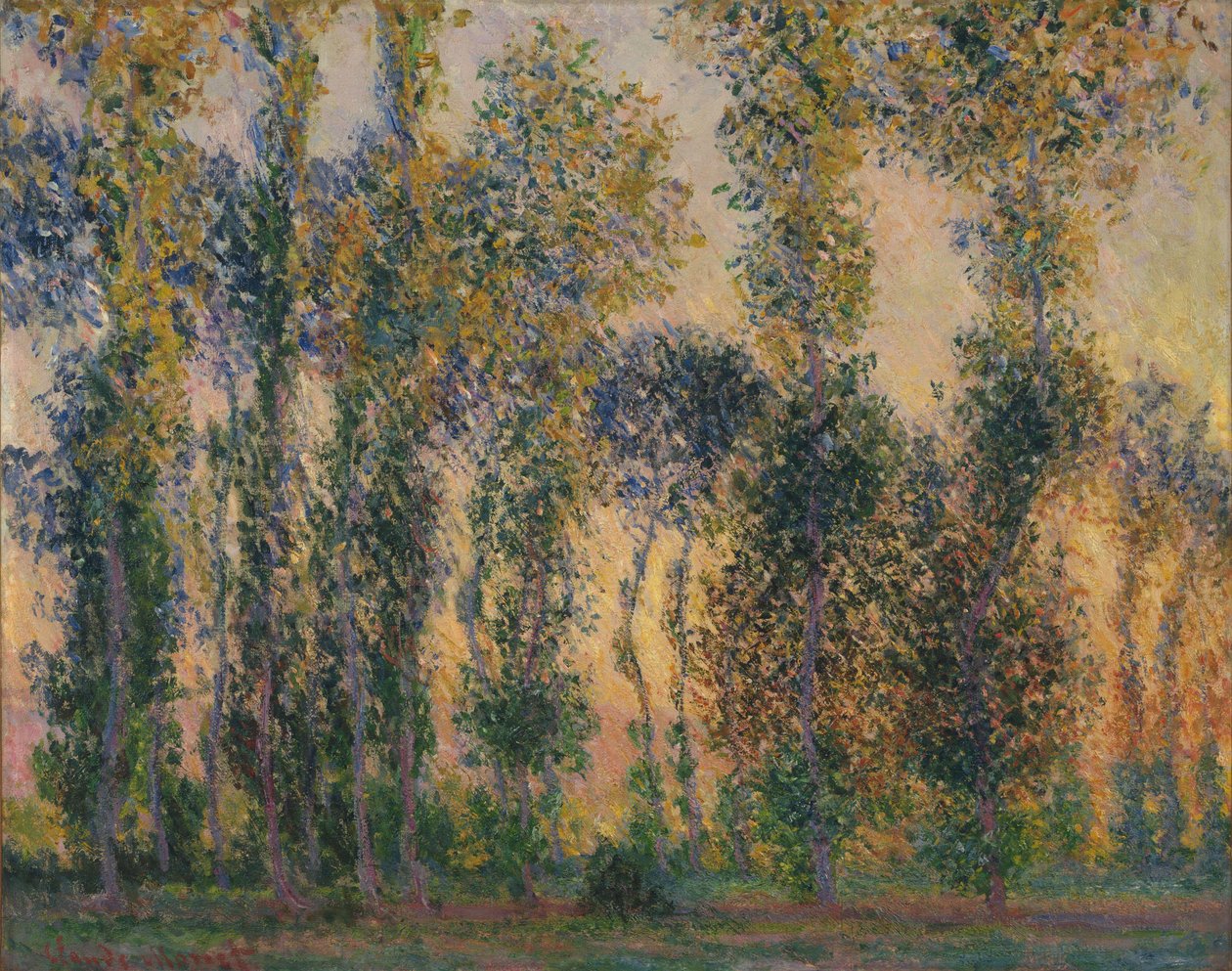 Nyárfák Givernyben, Napkeltekor alkotó: Claude Monet