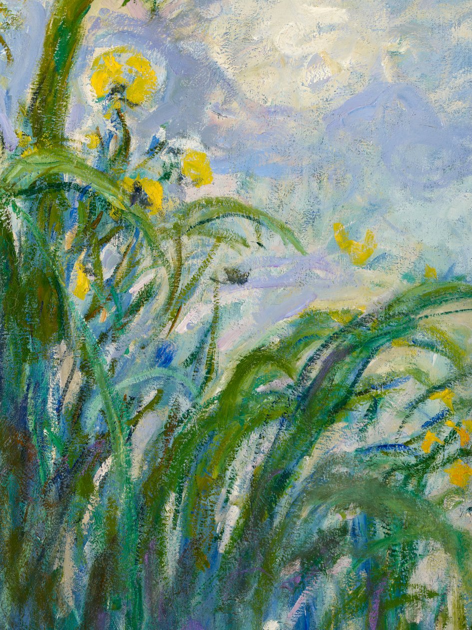 A sárga írisz részletesen 154652 olaj, vászon alkotó: Claude Monet