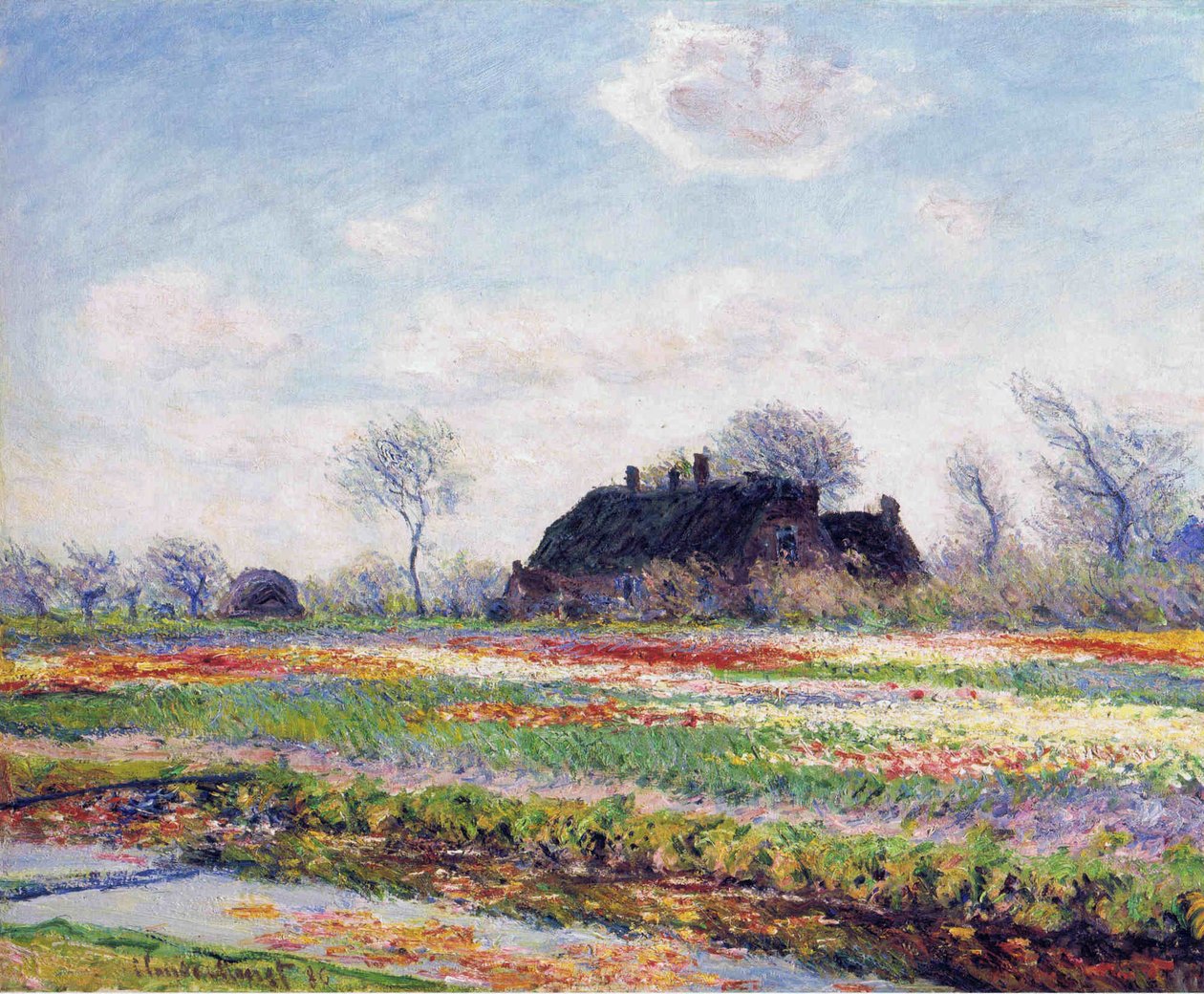 Tulipánmezők Sassenheimben alkotó: Claude Monet