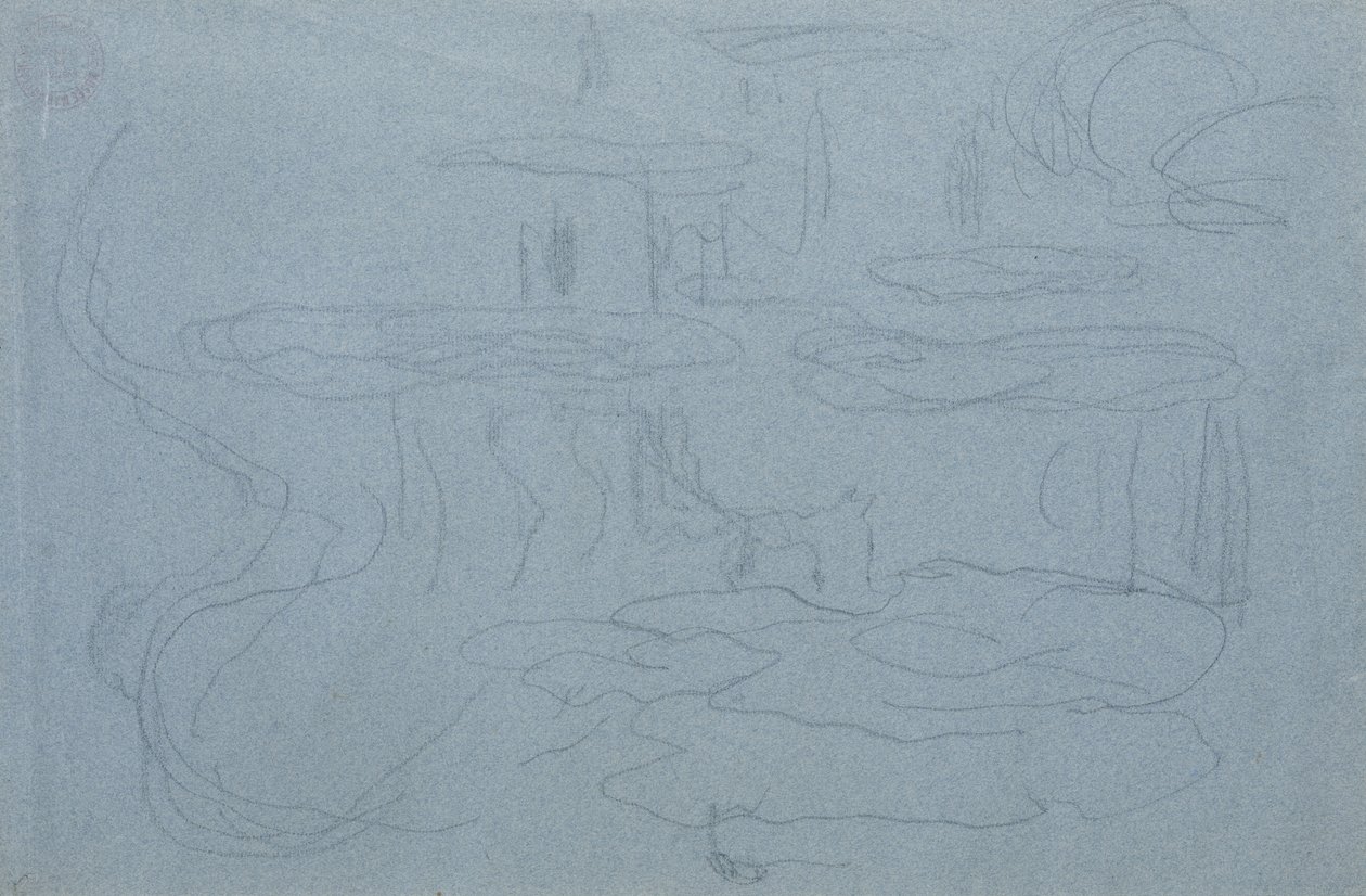 Tavirózsa, 1918 körül (fekete zsírkréta kék zsírkrétás papíron) alkotó: Claude Monet