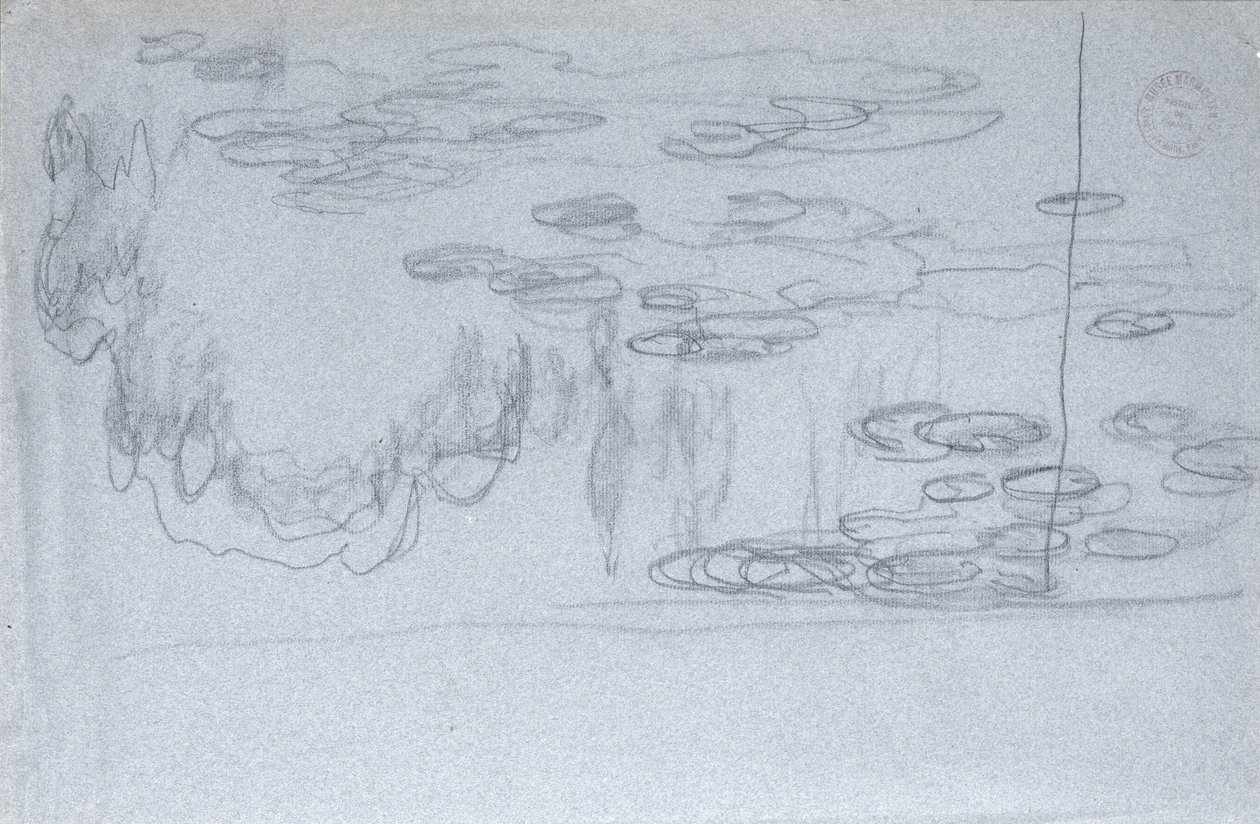 Tavirózsa, 1918 körül (fekete zsírkréta kék zsírkrétás papíron) alkotó: Claude Monet