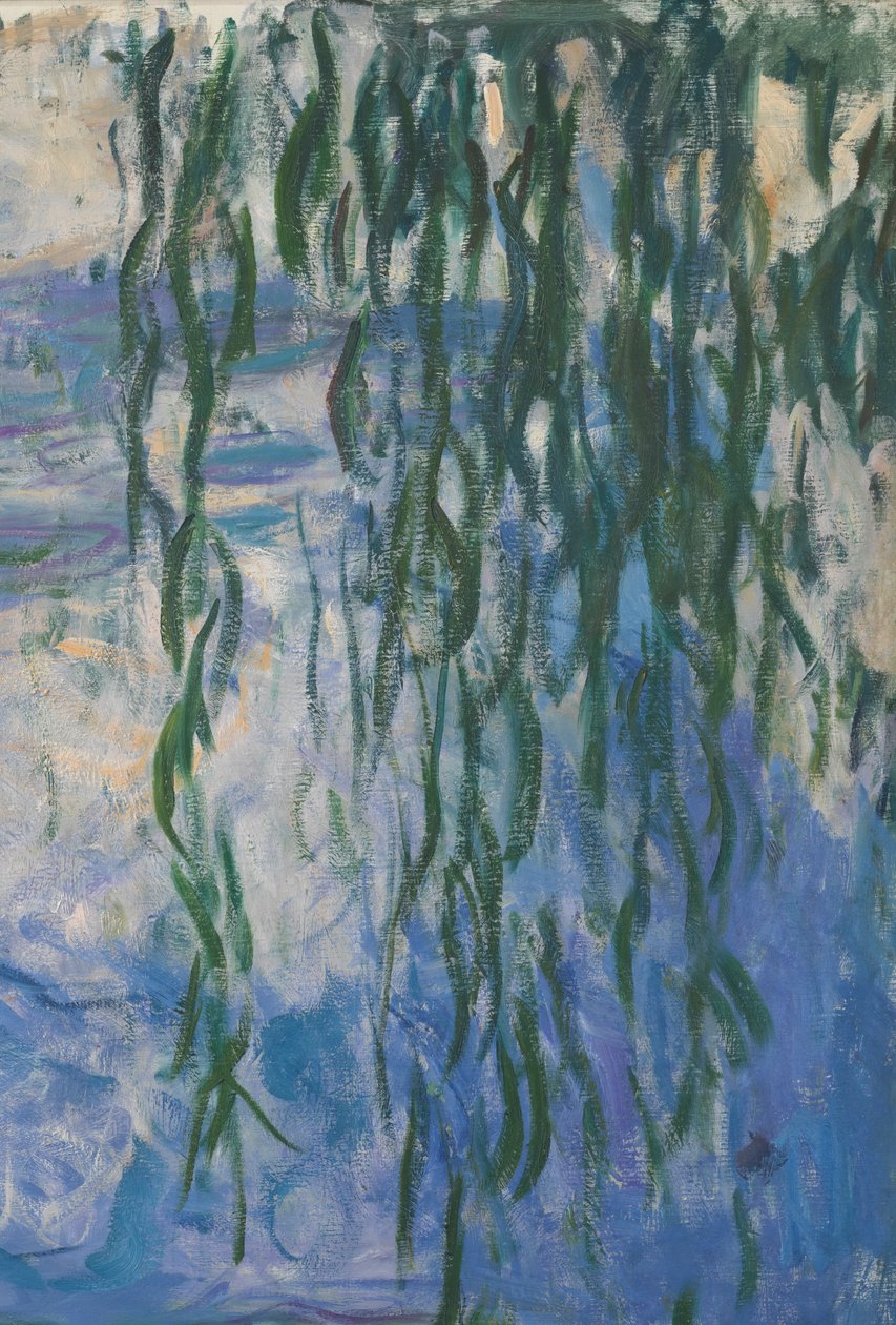 Tavirózsák, 1916-19 olaj, vászon részlet 161015 alkotó: Claude Monet
