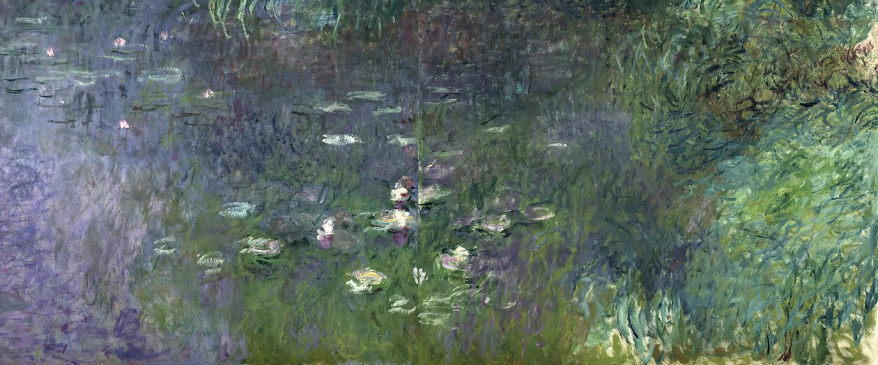 Tavirózsa: Reggel, 1914-18 (jobb oldali rész) alkotó: Claude Monet