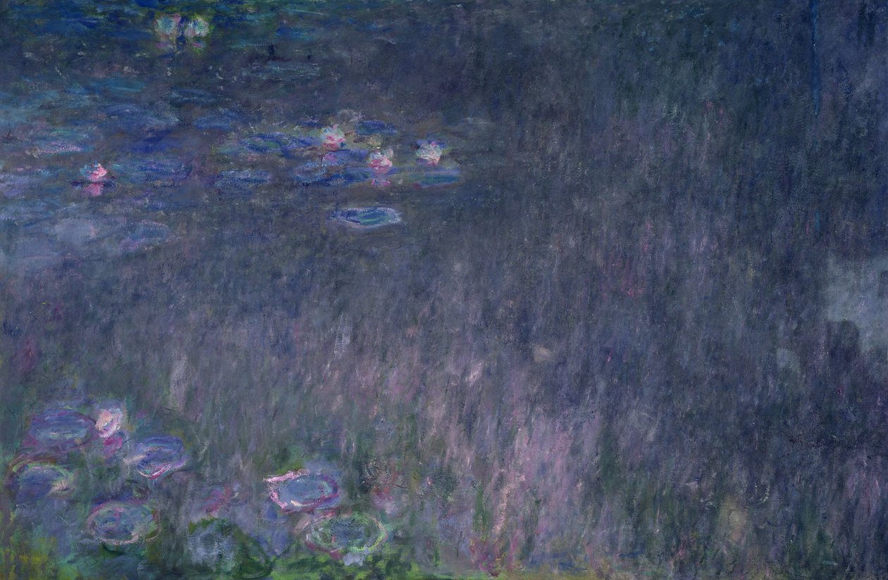 Tavirózsa: Fák tükörképe, részlet balról, 1915-26 alkotó: Claude Monet