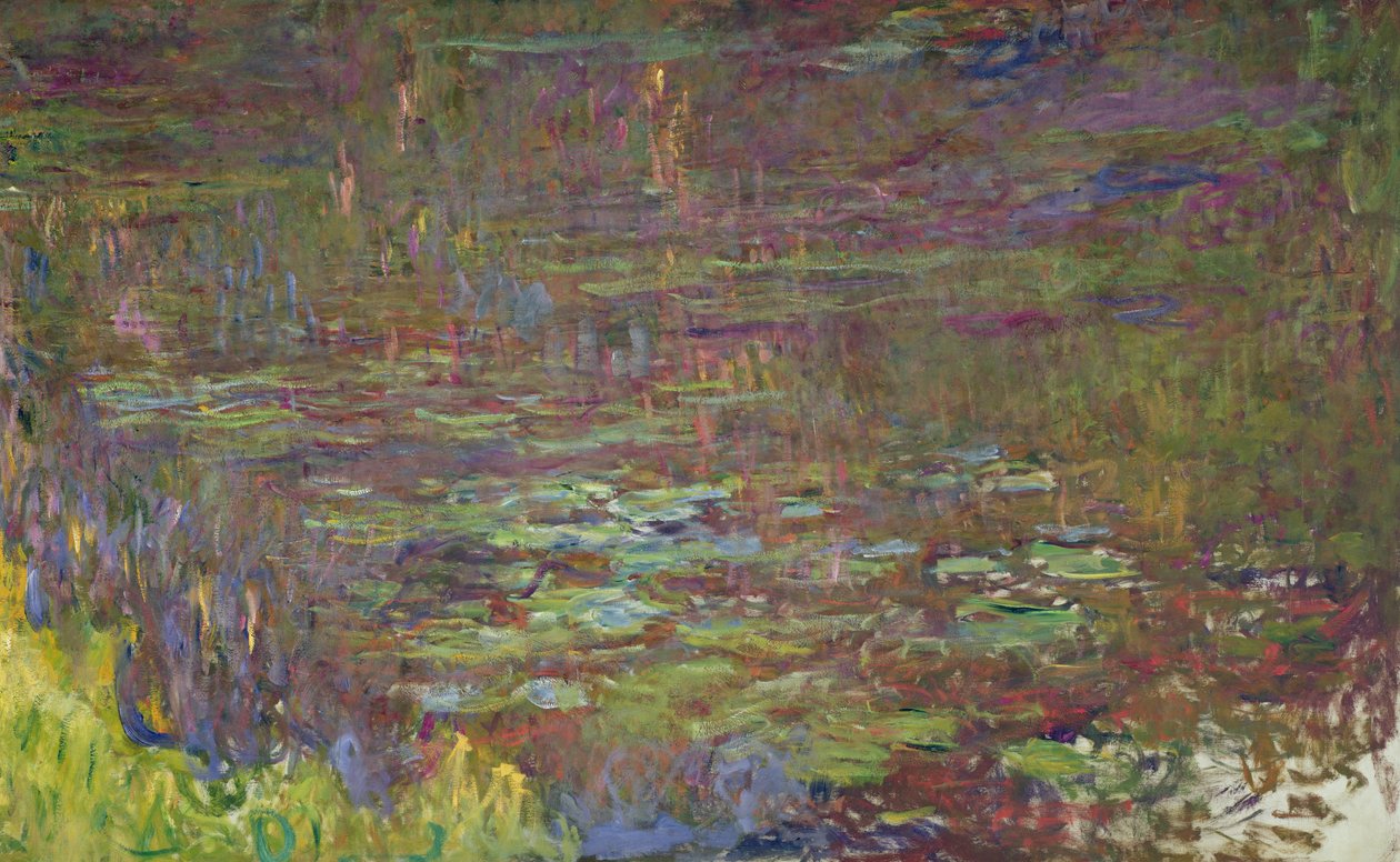 Tavirózsa naplementekor, részlet jobb oldalról, 1915-26 alkotó: Claude Monet