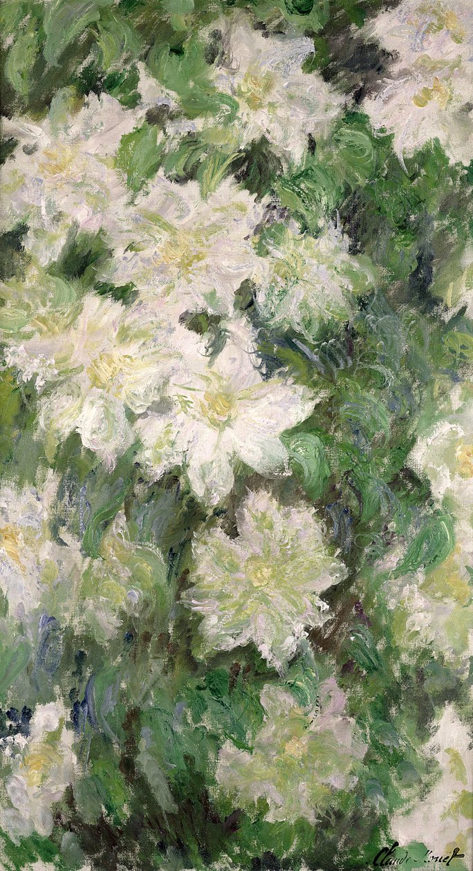 Fehér Clematis, 1887 alkotó: Claude Monet