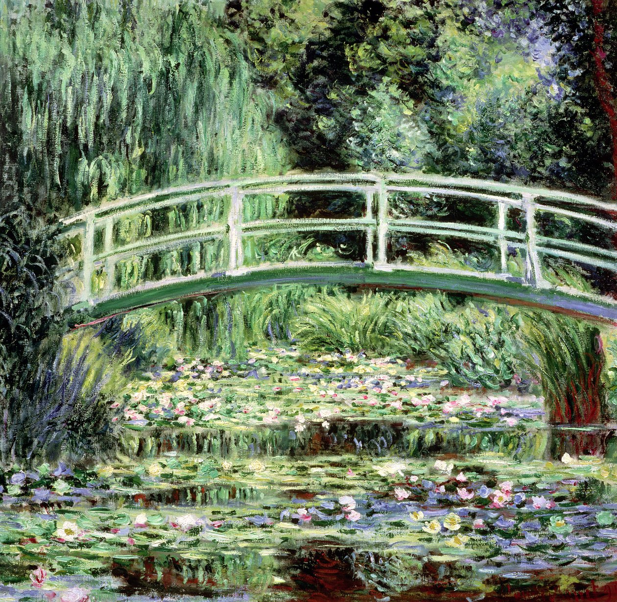 Fehér tavirózsák, 1899 alkotó: Claude Monet
