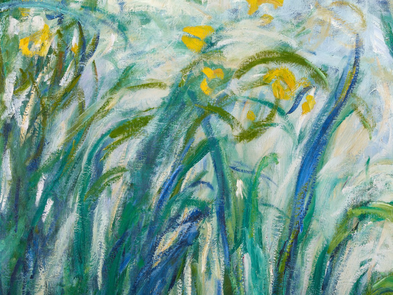 Sárga és lila íriszek, 1924-25 részlet a 169490 olaj, vászonból alkotó: Claude Monet