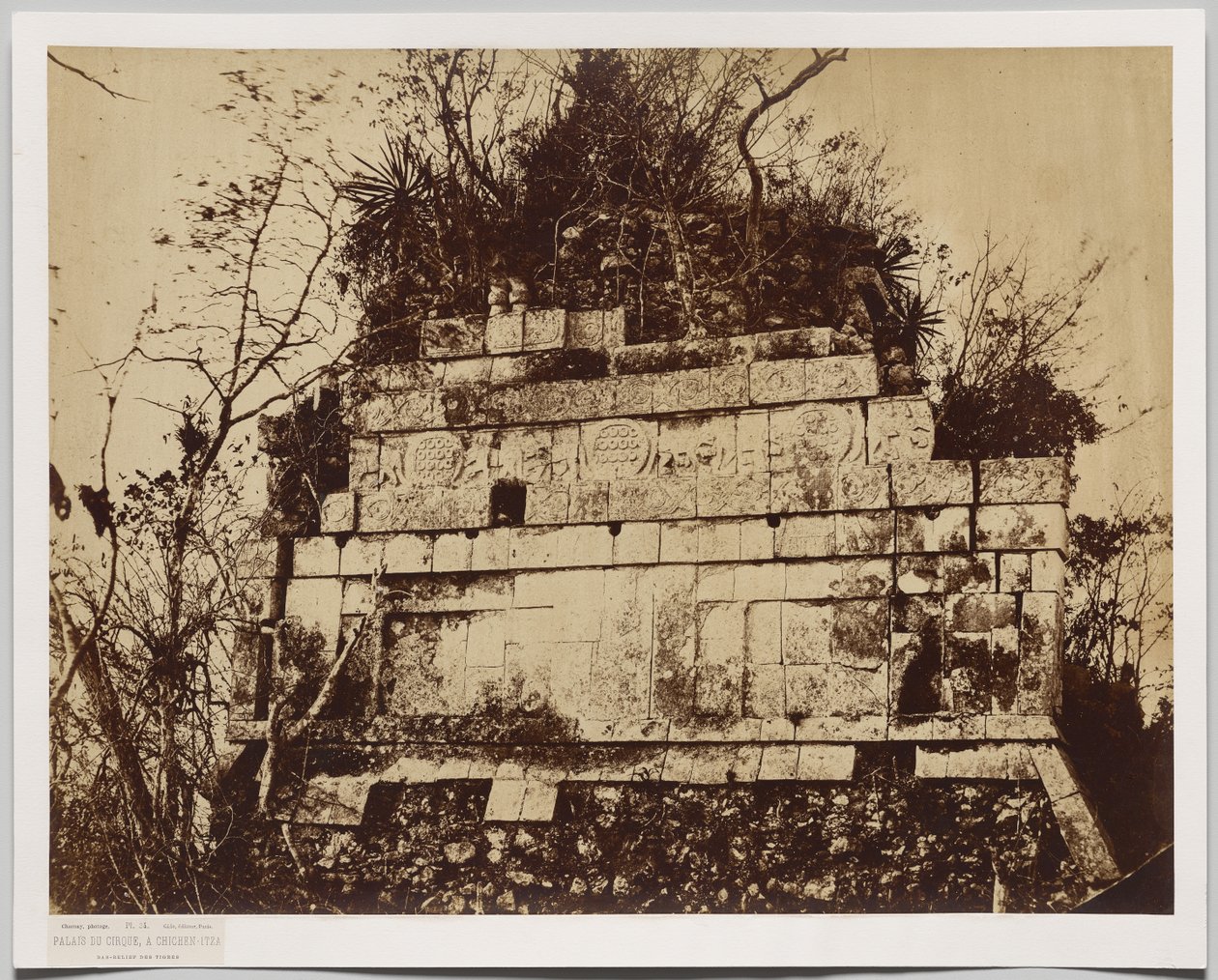 A cirkusz palotája Chichen-itza-ban (tigrisek domborműve) alkotó: Claude Joseph Désiré Charnay