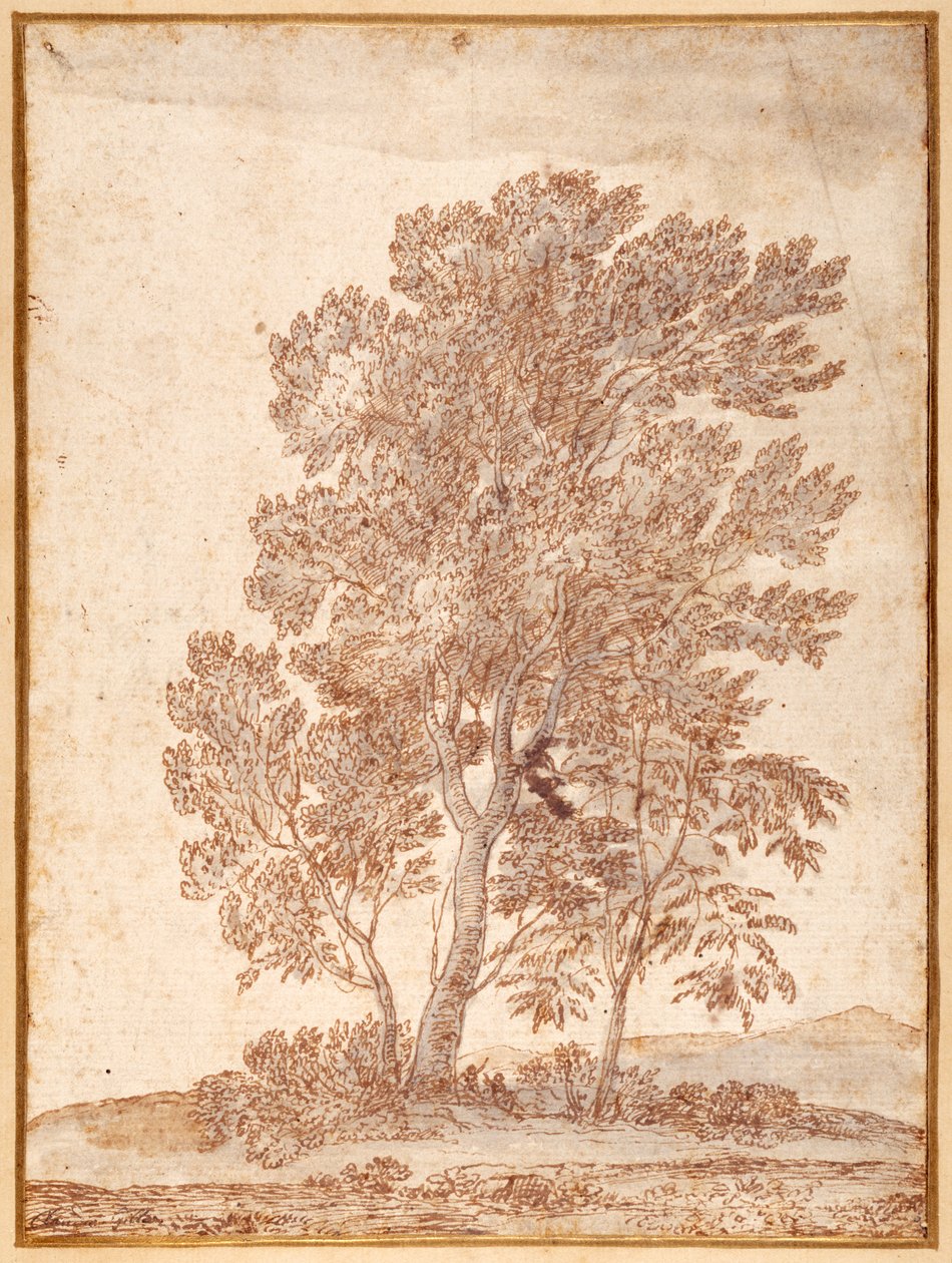 Három fa (toll és barna tinta szürke mosással a papíron) alkotó: Claude Lorrain
