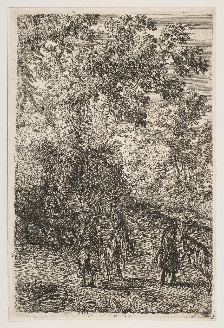 Négy kecske a The Goats bal oldalán, kb. 1630-33. alkotó: Claude Lorrain
