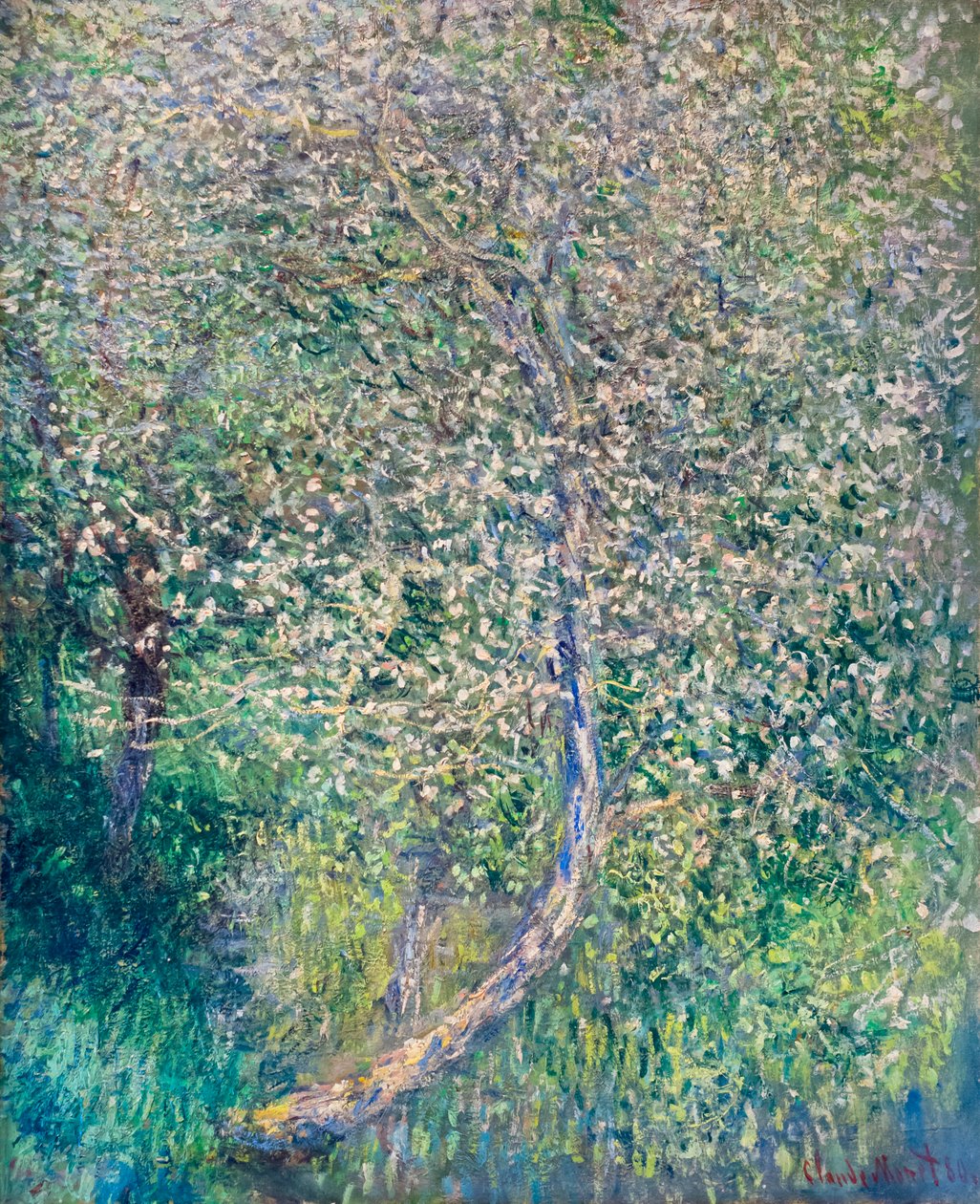 Virágzó almafák a víz szélén alkotó: Claude Monet