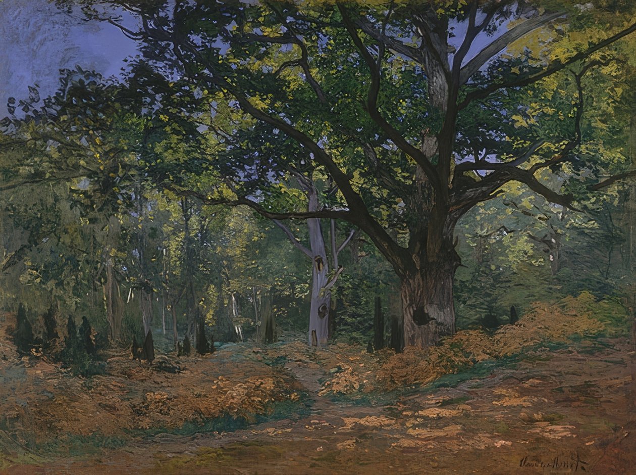 Bodmer tölgy a fontainebleau-i erdőben. 1865 alkotó: Claude Monet