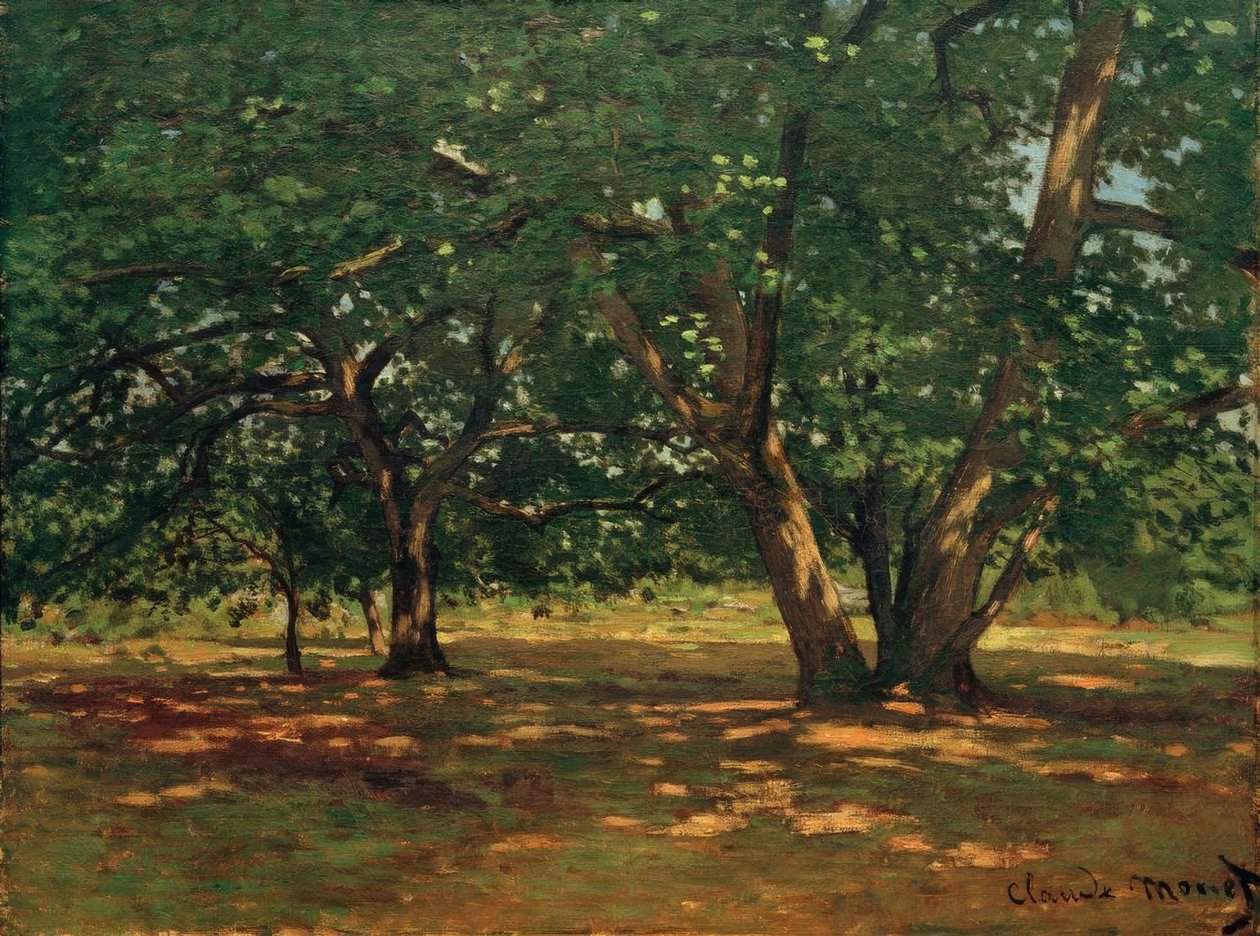 Fontainebleau-i erdő alkotó: Claude Monet
