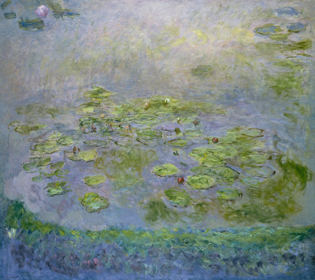 Tavirózsa - Claude Monet (1840-1926) festménye, olaj, vászon alkotó: Claude Monet