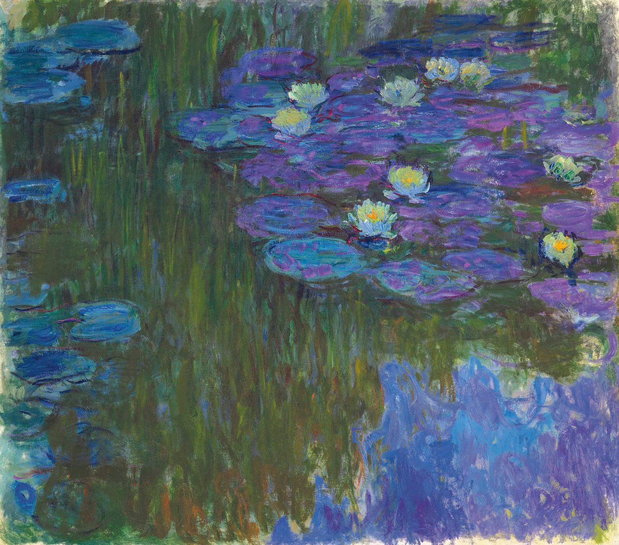 Virágzó tavirózsa alkotó: Claude Monet