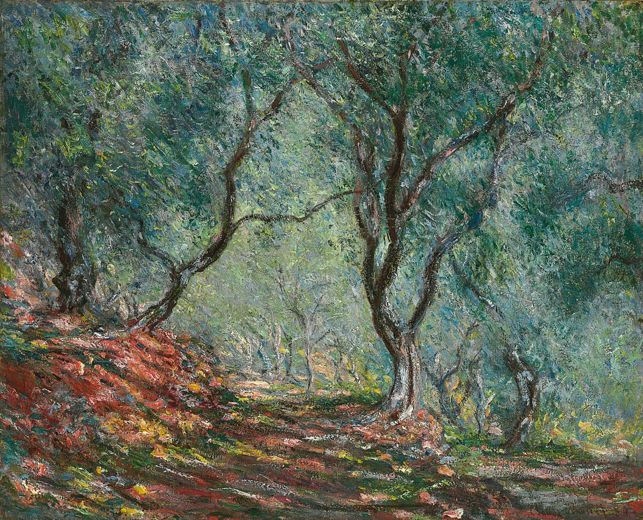 Olajfák a Moreno kertben, 1884 alkotó: Claude Monet