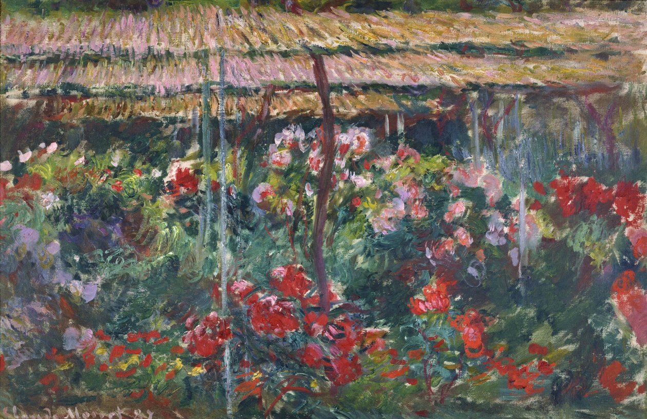 Bazsarózsa kert, 1887 alkotó: Claude Monet