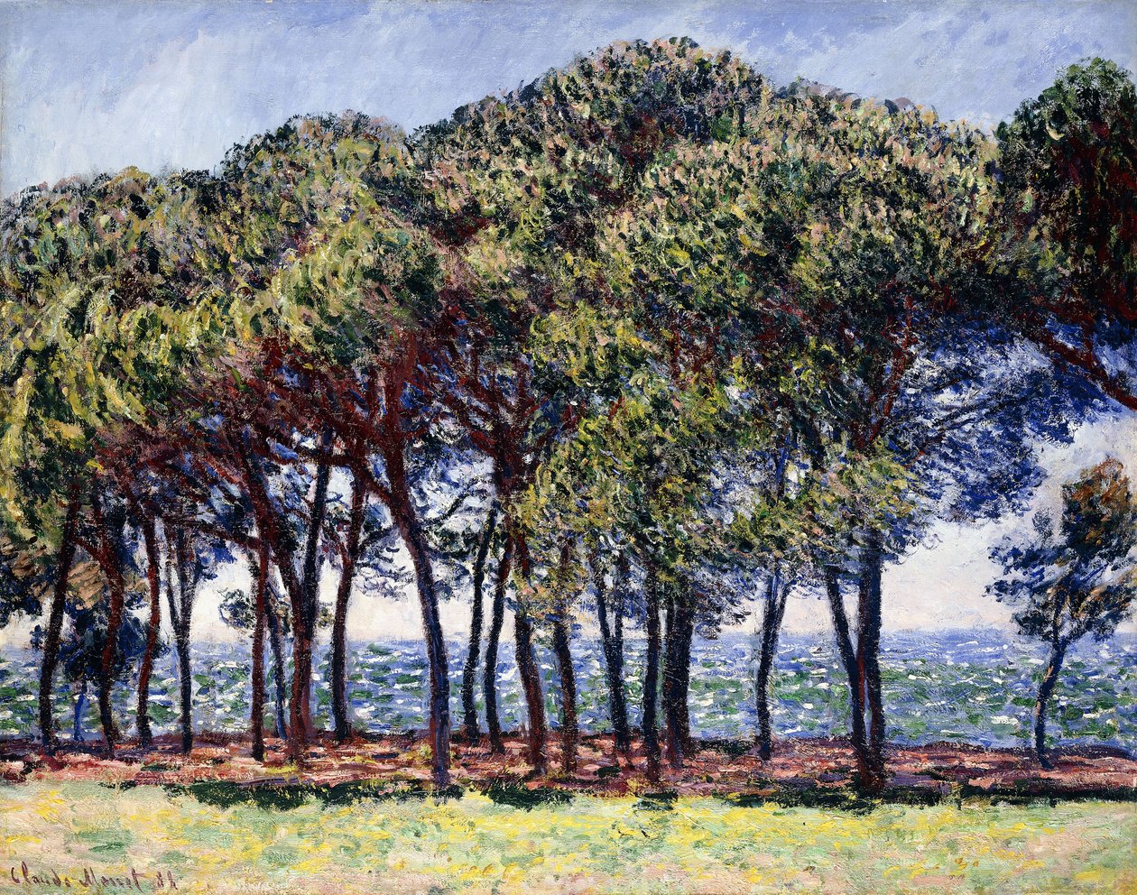 Pines, Cap d"Antibes, 1888 alkotó: Claude Monet