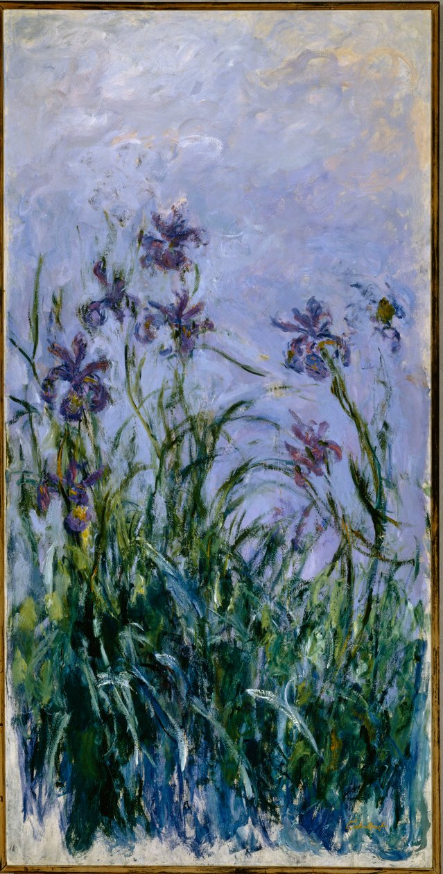 Lila íriszek, 1914-17 alkotó: Claude Monet