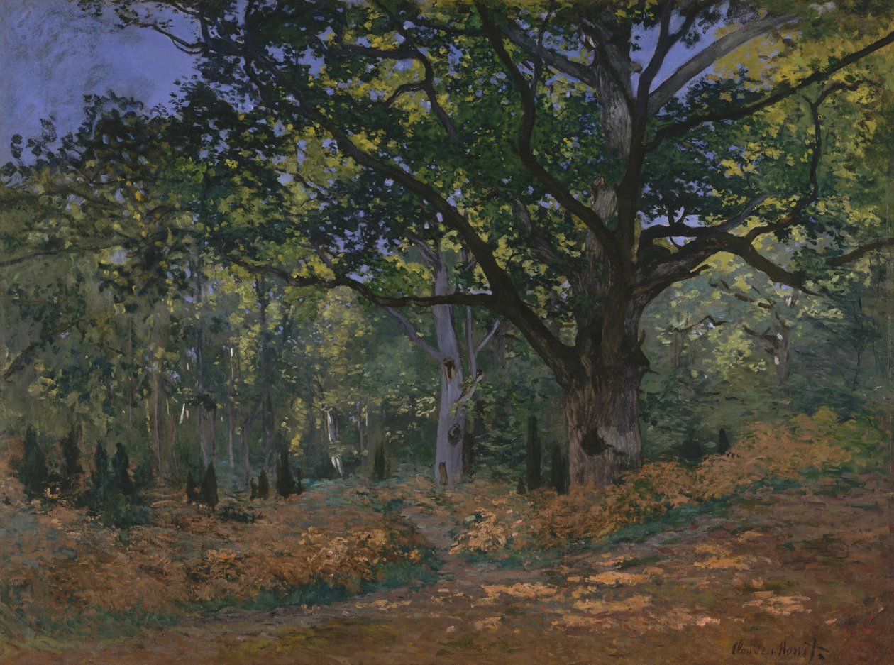 A Bodmer-tölgy, Fontainebleau-erdő alkotó: Claude Monet