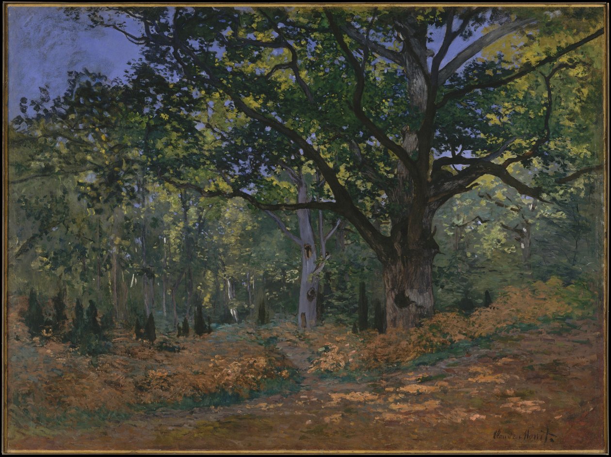 A Bodmer-tölgy, Fontainebleau-erdő, 1865 alkotó: Claude Monet