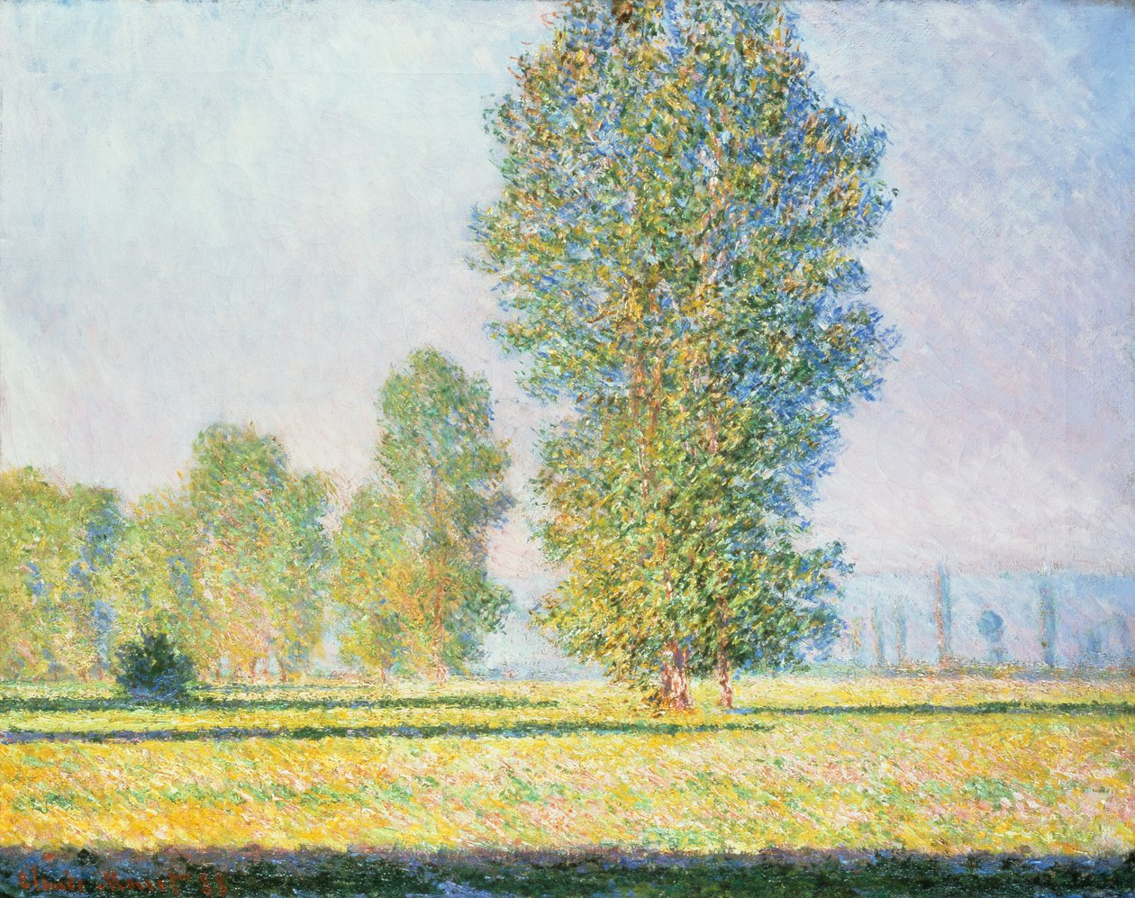 A limetzi rét alkotó: Claude Monet