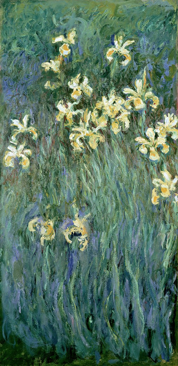 A sárga íriszek alkotó: Claude Monet