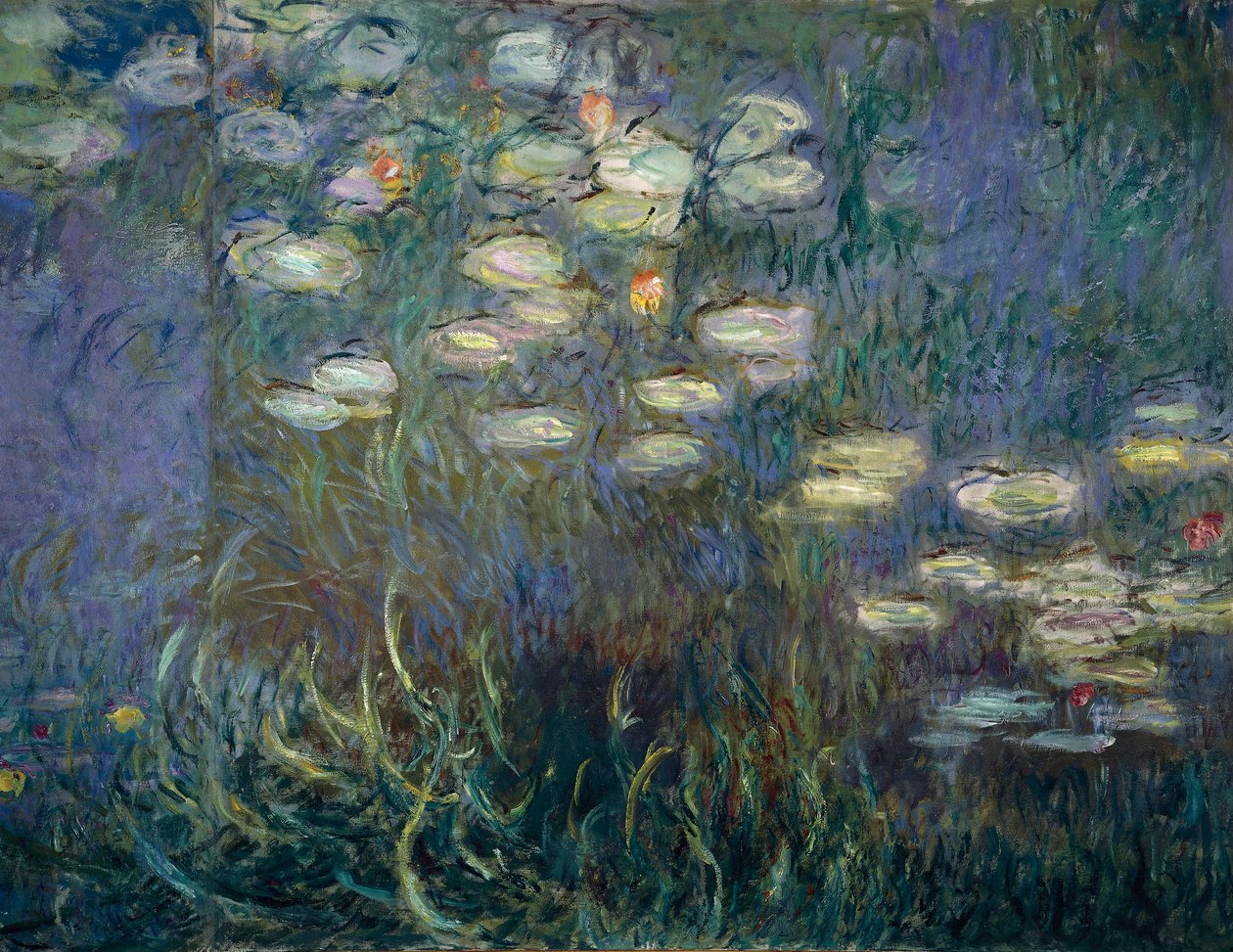 Tavirózsa (részlet) (olaj, vászon) alkotó: Claude Monet